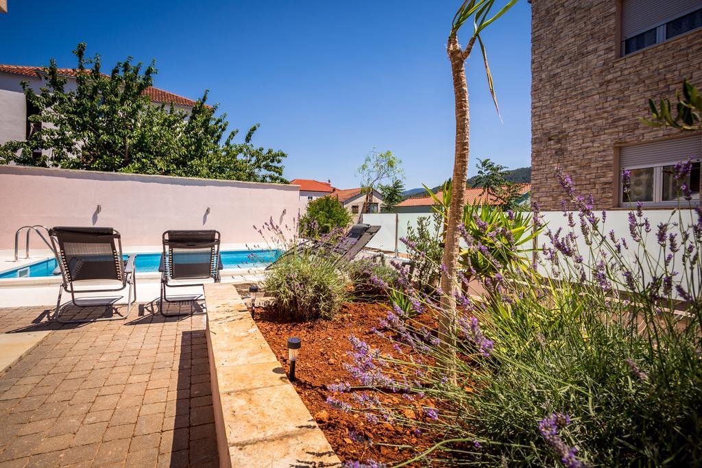 Apartment Falcon Stari Grad  Rom bilde