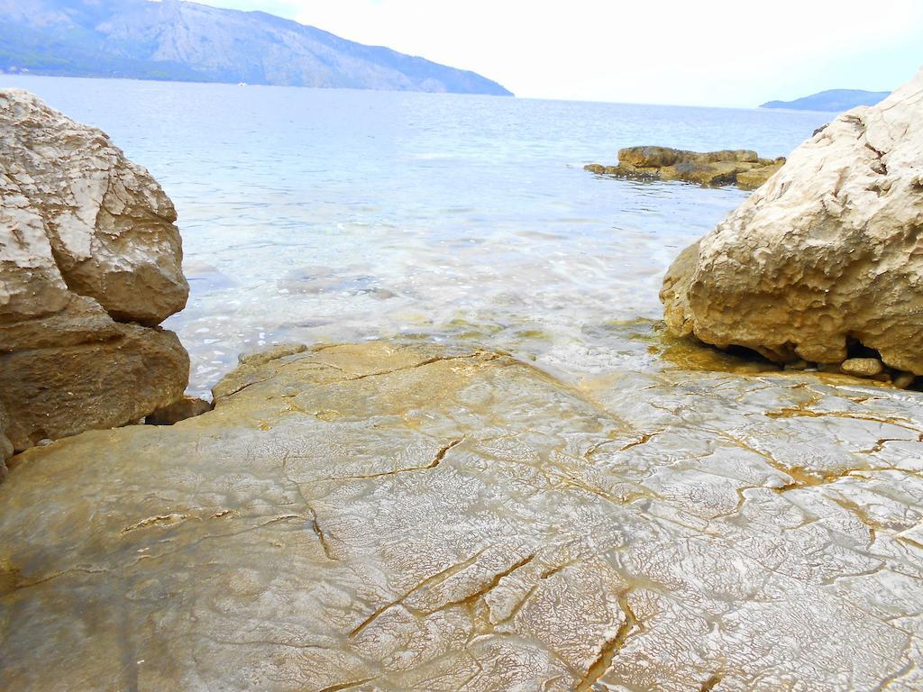 Apartment Falcon Stari Grad  Rom bilde