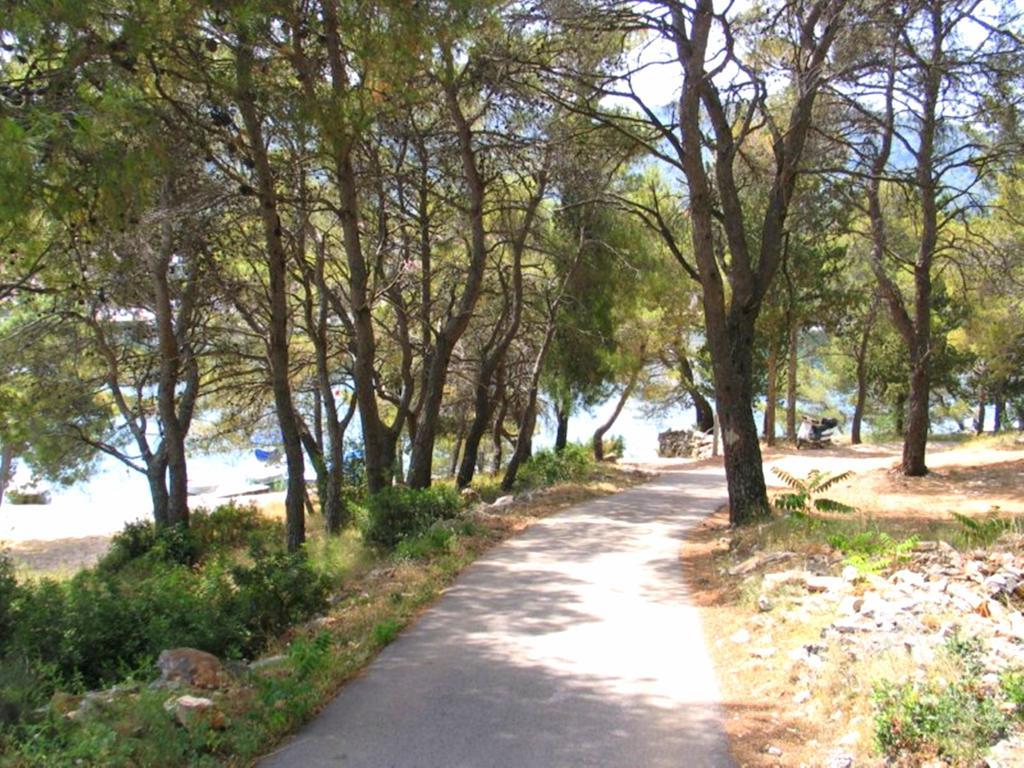 Apartment Falcon Stari Grad  Rom bilde
