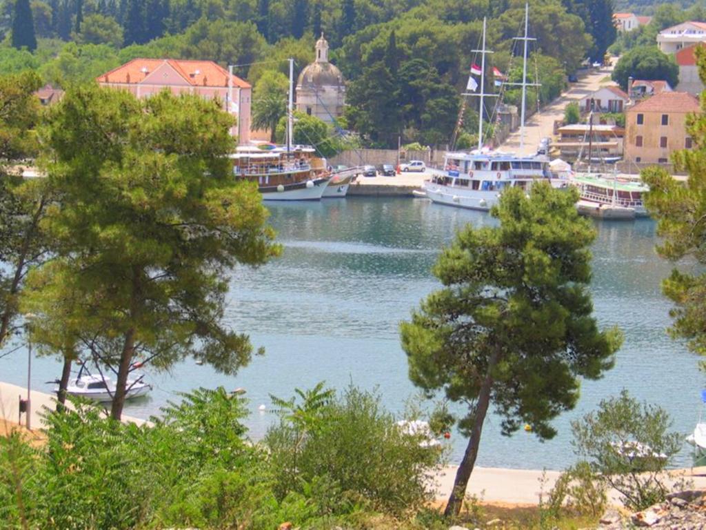 Apartment Falcon Stari Grad  Rom bilde