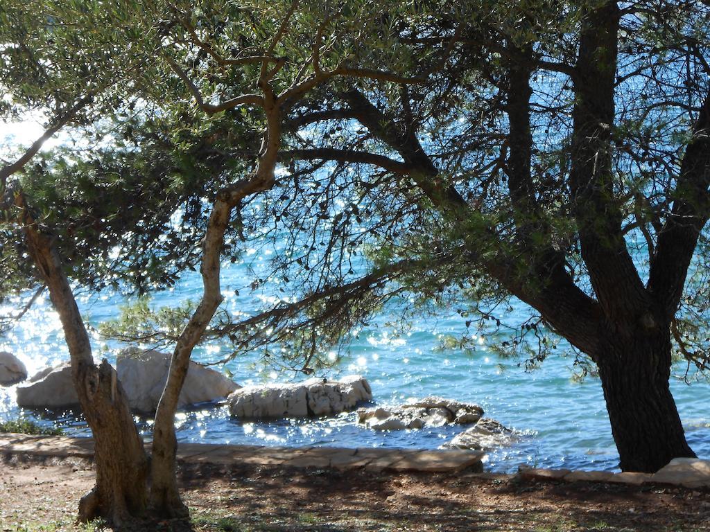 Apartment Falcon Stari Grad  Rom bilde