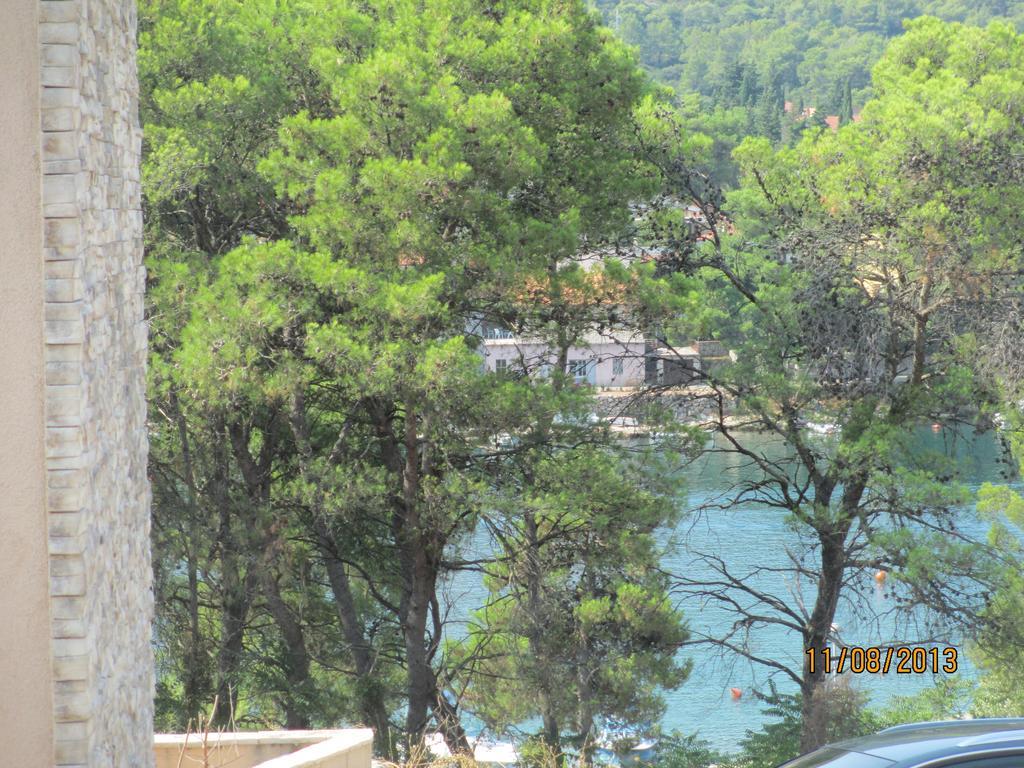 Apartment Falcon Stari Grad  Rom bilde