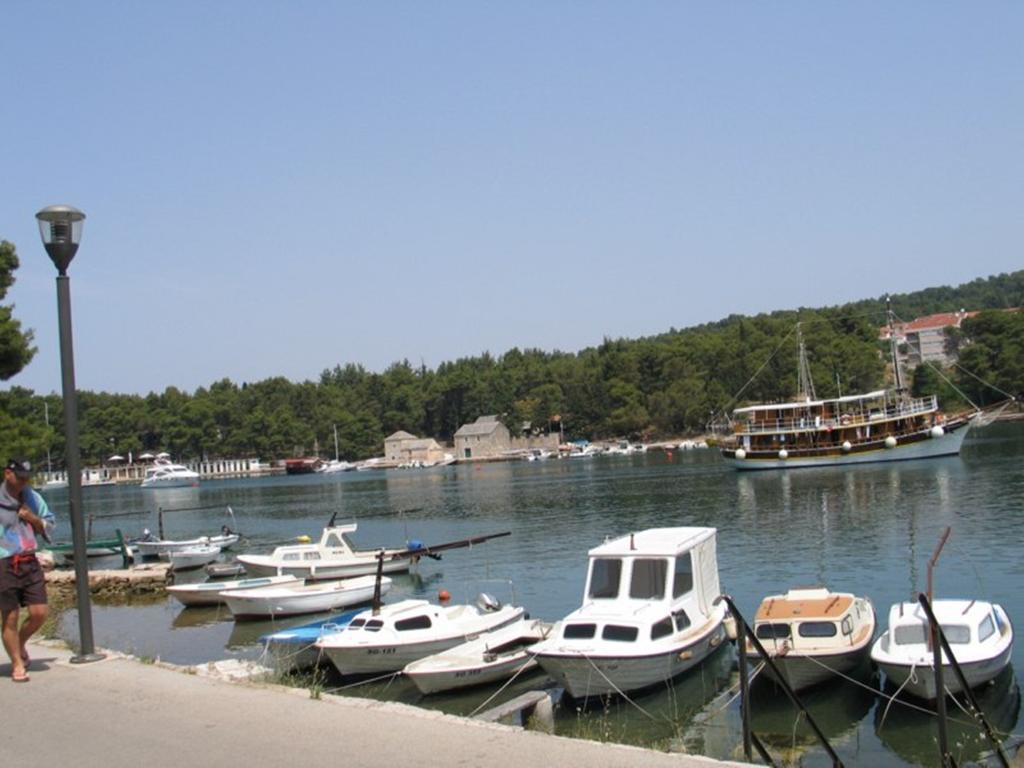 Apartment Falcon Stari Grad  Rom bilde