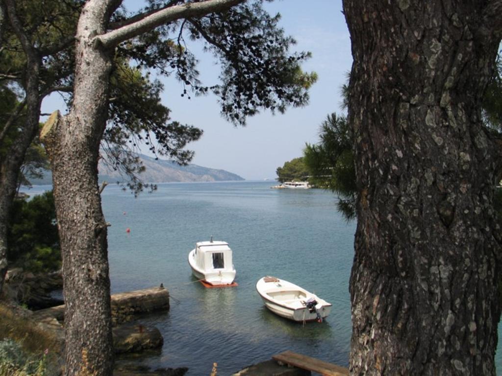 Apartment Falcon Stari Grad  Rom bilde